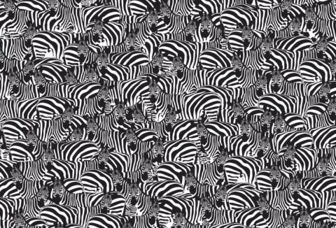 Hol rejtőzik a zebrák között a zongorabillentyű a fekete-fehér optikai illúzión?