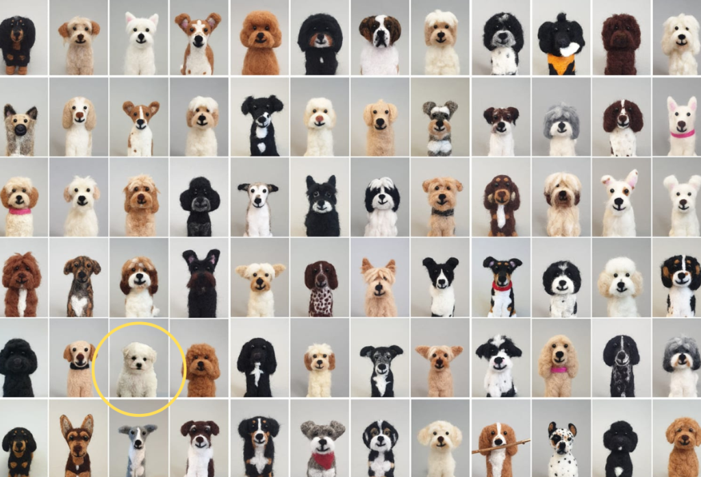 A sárga kör mutatja, melyik kutya az igazi a képen