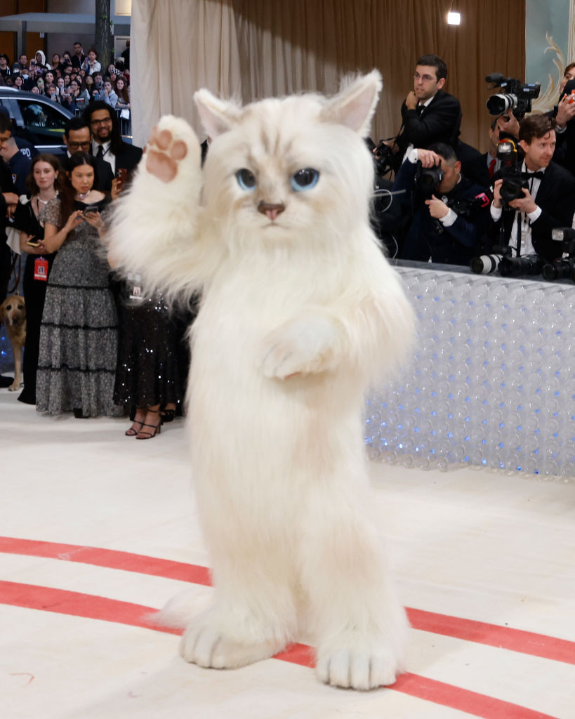 Jared Leto és Doja Cat is Karl Lagerfeld macskájának öltöztek a Met-gálán
