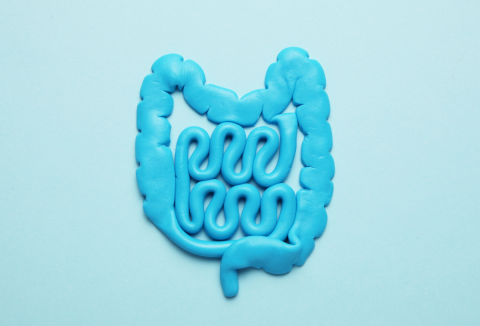 A bélflóra egészsége - és a széklet rendszeressége - nagyban összefügg a demencia kialakulásának kockázatával