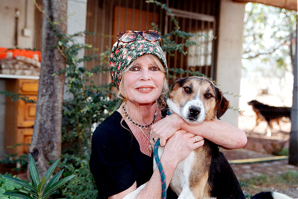 89 éves az örök francia múzsa, Brigitte Bardot