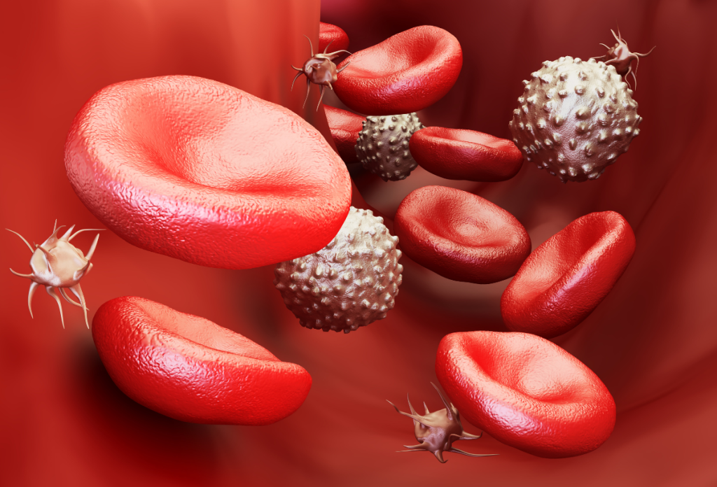 A menstruációs vérben található vas okozhatja a fémes szagát