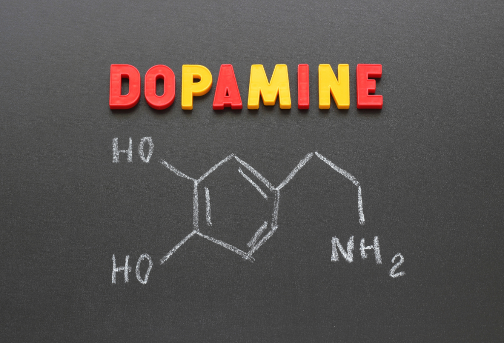 A dopamin nem a jutalom, hanem a jutalom elérése iránti motiváció