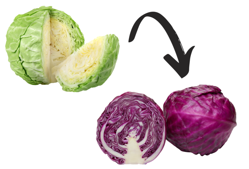 40 felett különösen fontos, hogy az élénkebb színű zöldséget válasszuk, például káposztából