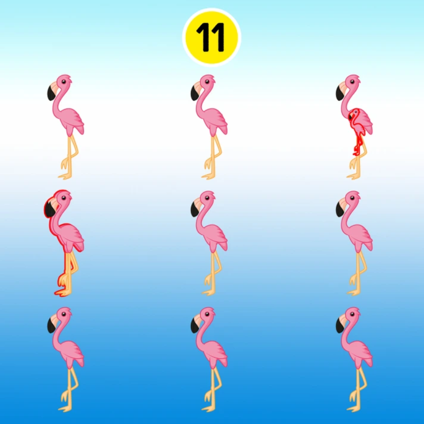 Jól működik az agyad, ha meg tudod mondani, hány flamingót látsz a képen