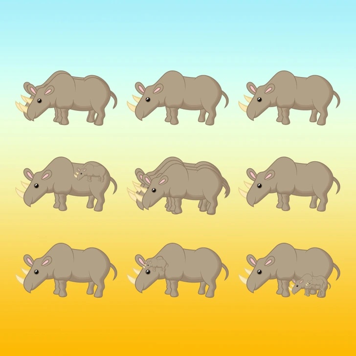 Hány rinocérosz bújt meg a képen? 