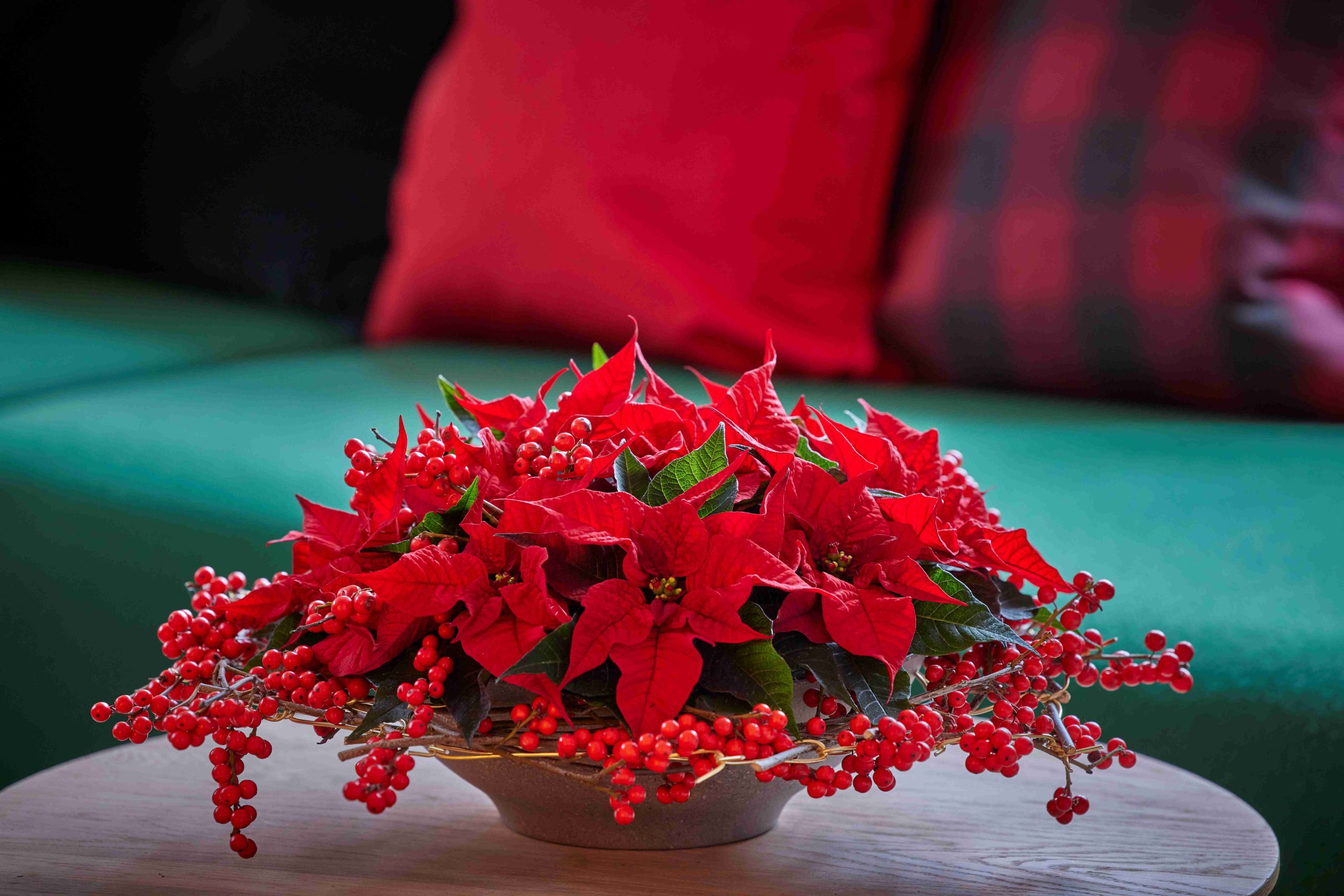 Így dekoráld az otthonodat az ünnepekre, ha még virágzik a mikulásvirágod