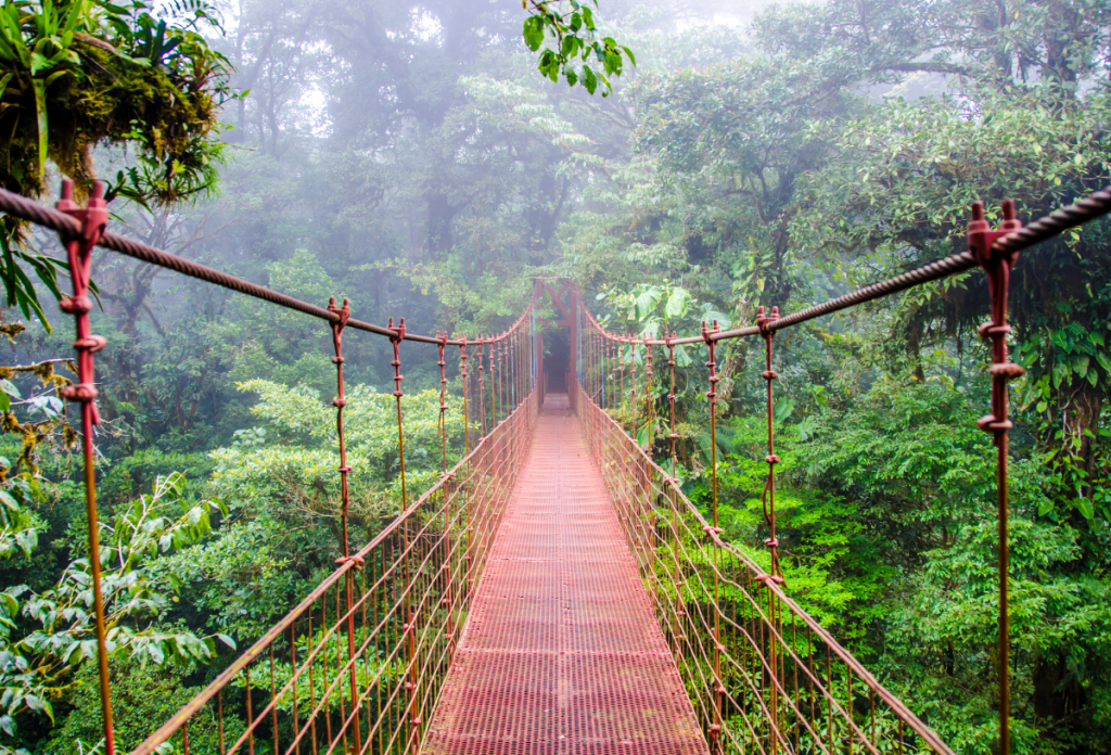 Az egzotikus úticélok közül Costa Rica lesz nagyon népszerű 2024-ben