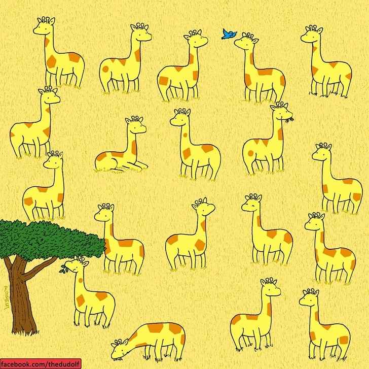 Jó szemed van a részletekhez, ha megtalálod a kakukktojást a zsiráfok között
