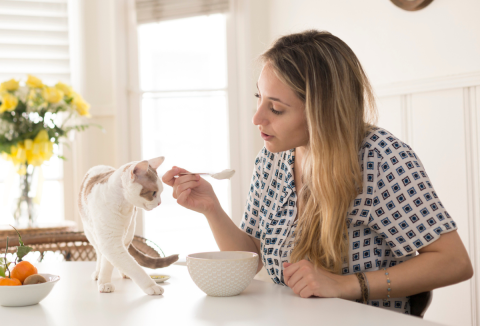 5 napos diéta böjt