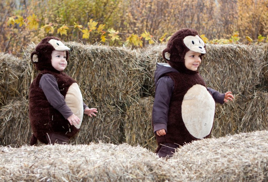 Halloweenkor érdemes beöltözve érkezni a Győri Állatkert programjára is