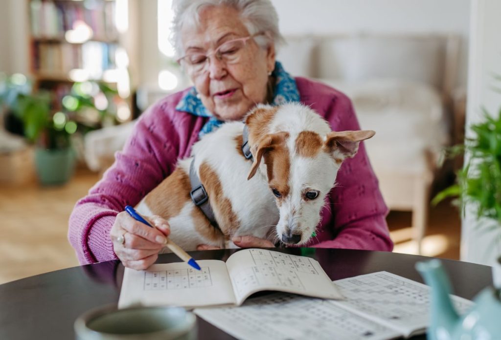 A kutya és a rejtvényfejtés is segíthet a demencia megelőzésében