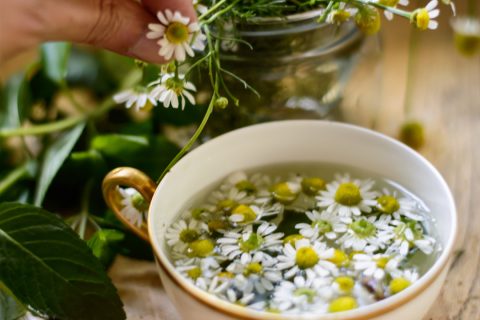 Kamilla: újraindítja a májadat és az emésztésedet