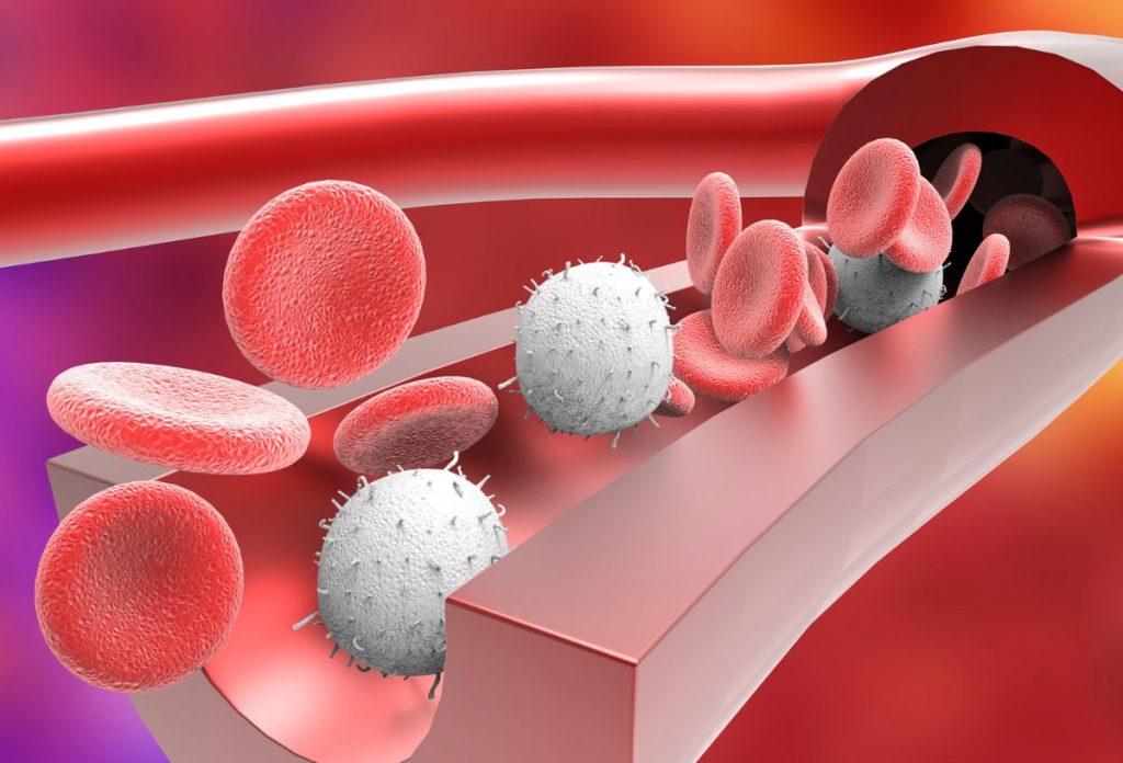 A büdös pukiban található hidrogén-szulfid gáz segít megelőzni a szívbetegségeket, védi az erek falát
