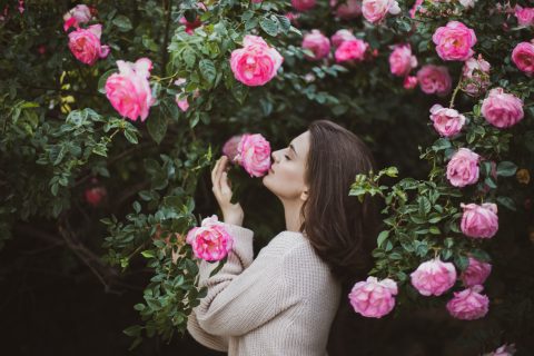 Rózsa gondozása banánhéj