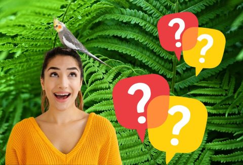 Műveltségi kvíz élővilág