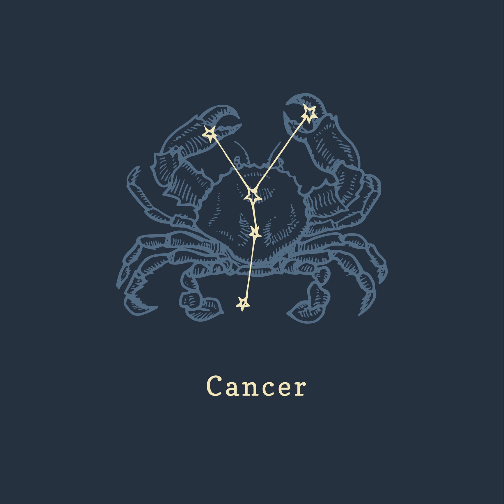 Ez a te időszakod, amikor a Nap a saját jegyedben és első házadban ragyog. Most van itt az ideje, hogy megújítsd önmagad – akár egy stílusfrissítéssel, akár új bőrápolási rutinnal. Intuíciód különösen erős, így hallgass a belső hangodra, és ne félj merész terveket szőni! Anyagi ügyekben azonban légy körültekintő, gyűjts minél több információt, mielőtt döntesz.