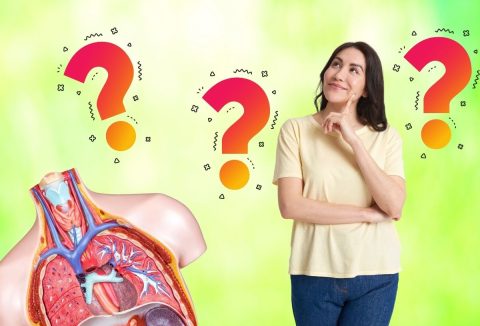 Műveltségi kvíz biológia emberi test