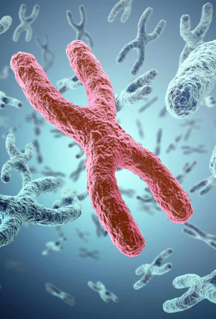 Az X-kromoszóma segíti a nőket abban, hogy sok tekintetben erősebbek, mint a férfiak