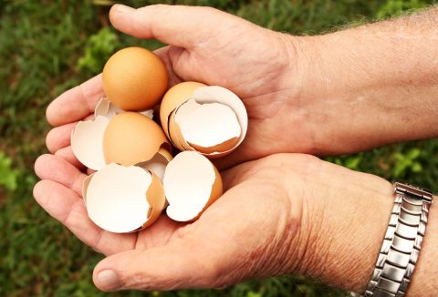 Tojáshéj takarítás házi praktika