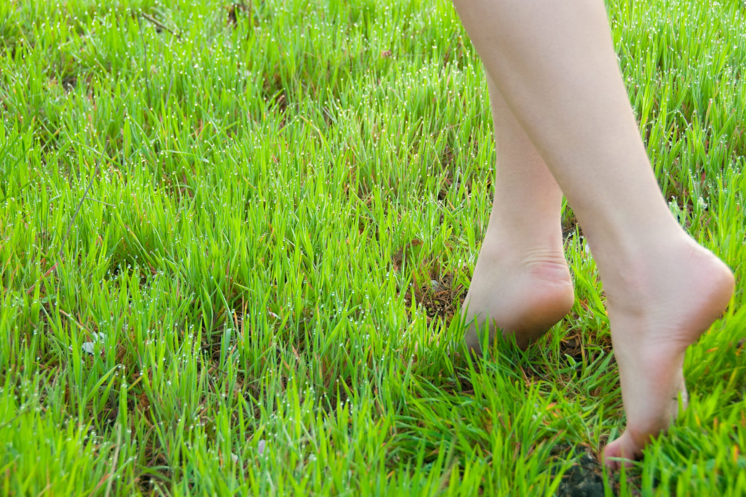 Nő mezítláb sétál a fűben