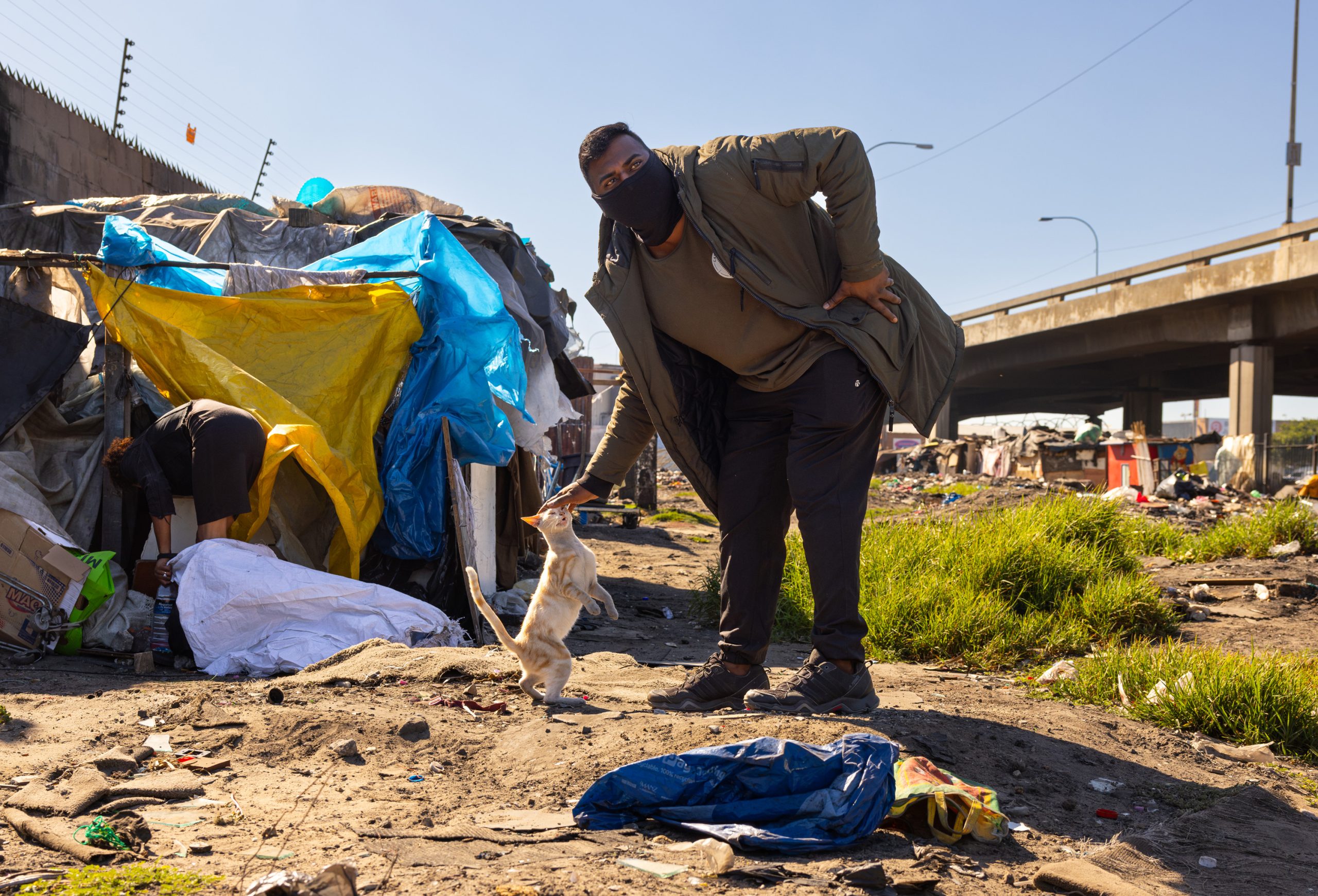 Egy macska Dél-Afrikában 