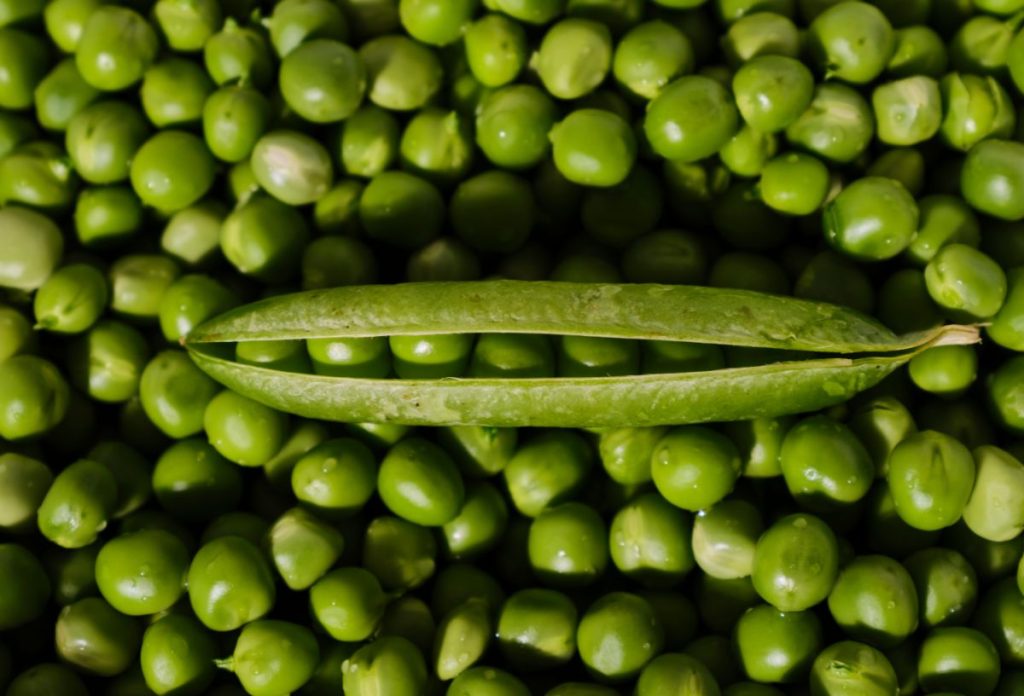 Egy hüvely borsó, háttérben zöldborsószemek