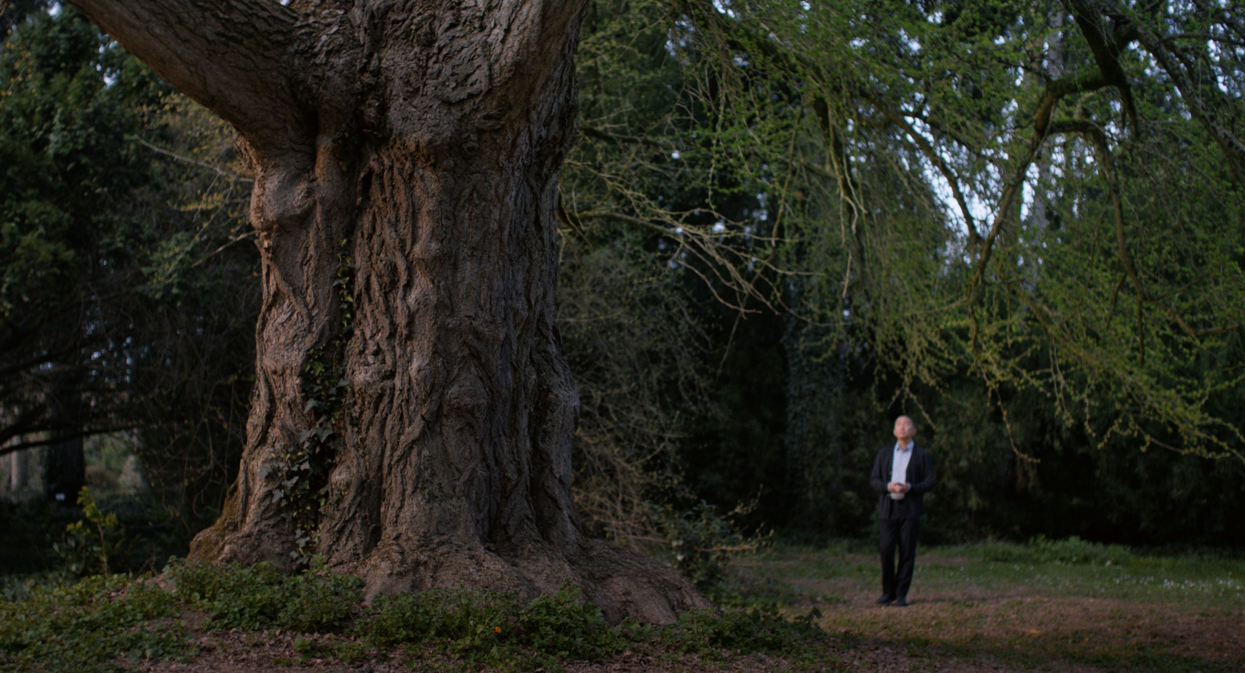 ket-magyar-film-versenyez-a-velencei-arany-oroszlanert | Marie Claire Részlet a Csendes barát című filmből