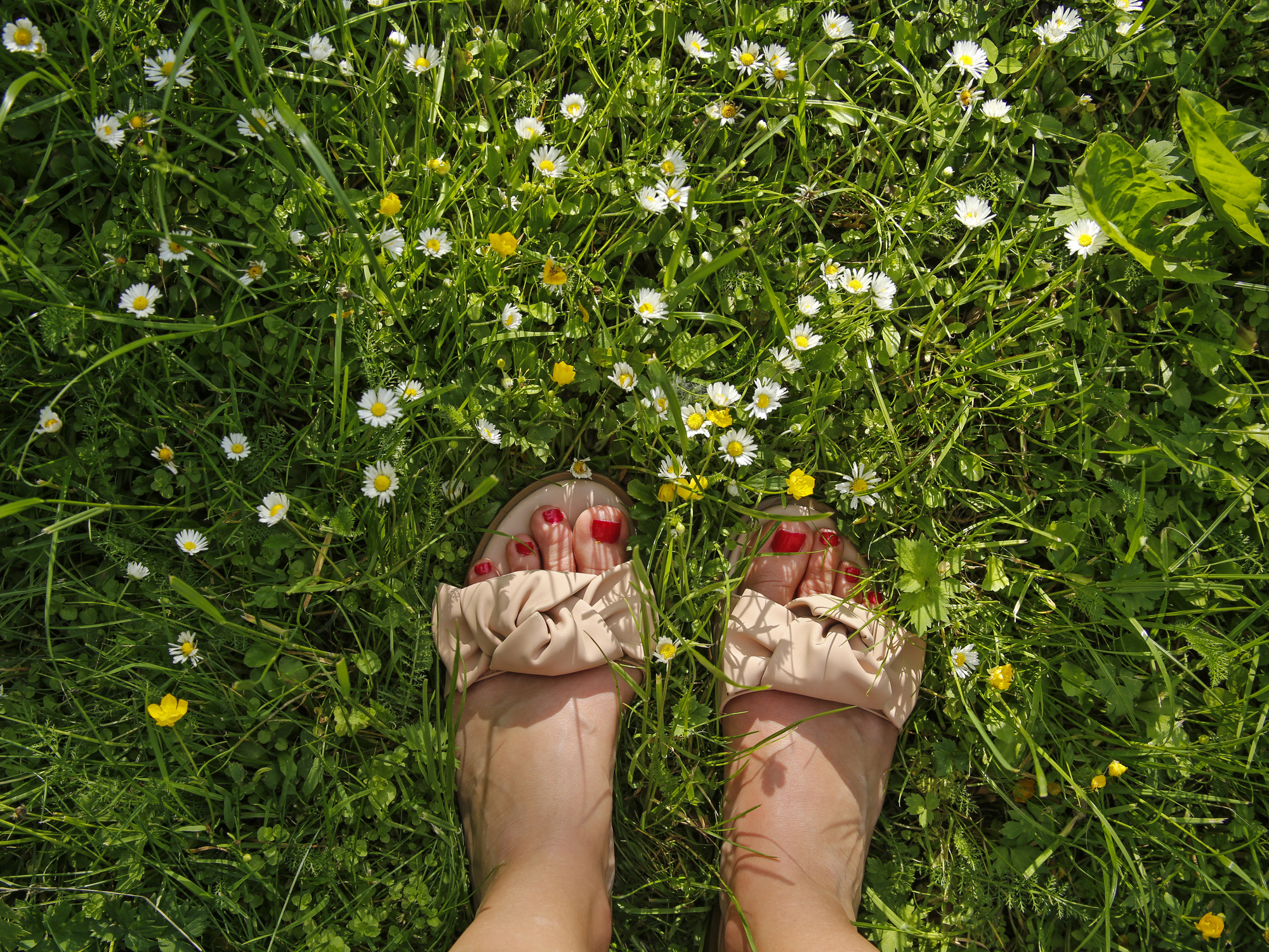 Női lábak a füvön