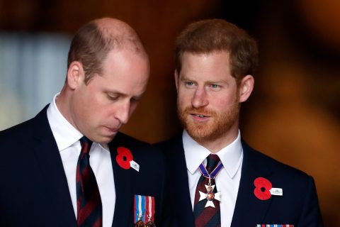 Vilmos herceg és Harry herceg