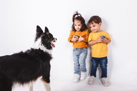Gyerekek félnek a kutyától