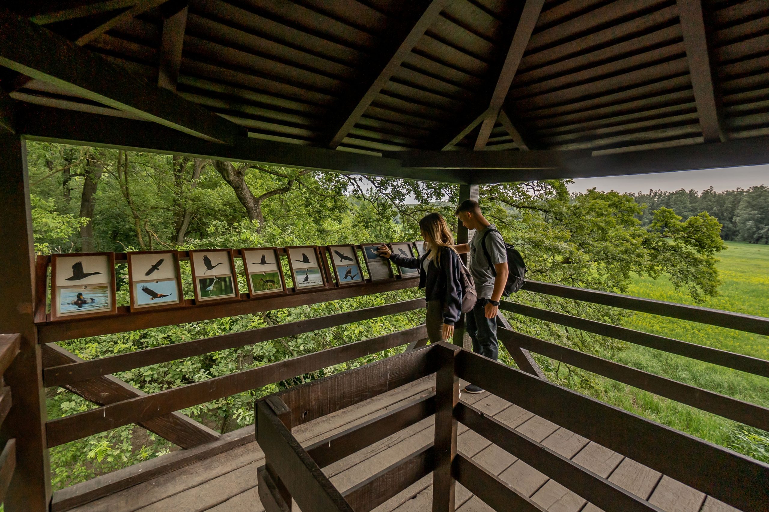 Pörböly_Malomtelelő_kilató_ Aktív Magyarország | Marie Claire Kerákpártúra gyerekkel: Pörböly_Malomtelelő_kilató_ Aktív Magyarország