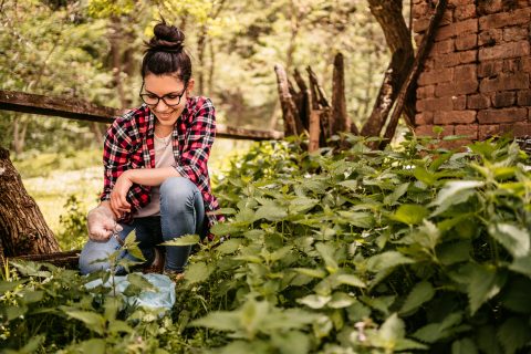 Fiatal nő csalánt szed