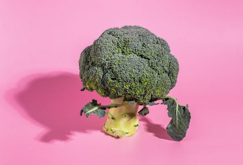 Brokkoli rózsaszín háttér előtt