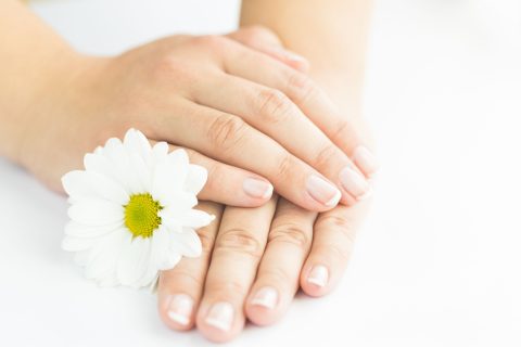 Rövid, természetes körmű kezek, amiben egy fehér virág van