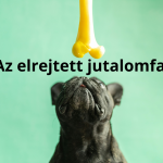 Fekete mopsz felfelé néz egy sárga műcsontra zöld háttér előtt