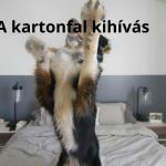 Kutya hálószobában ugrik