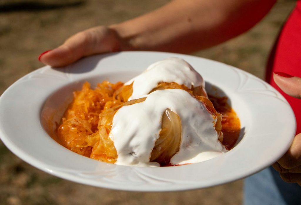 Nő fehér tányérban töltöttkáposztát tart a kezében