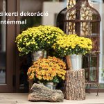 Őszi kerti dekoráció sárga és narancs krizantémmal