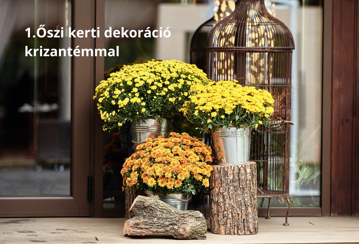 Őszi kerti dekoráció sárga és narancs krizantémmal