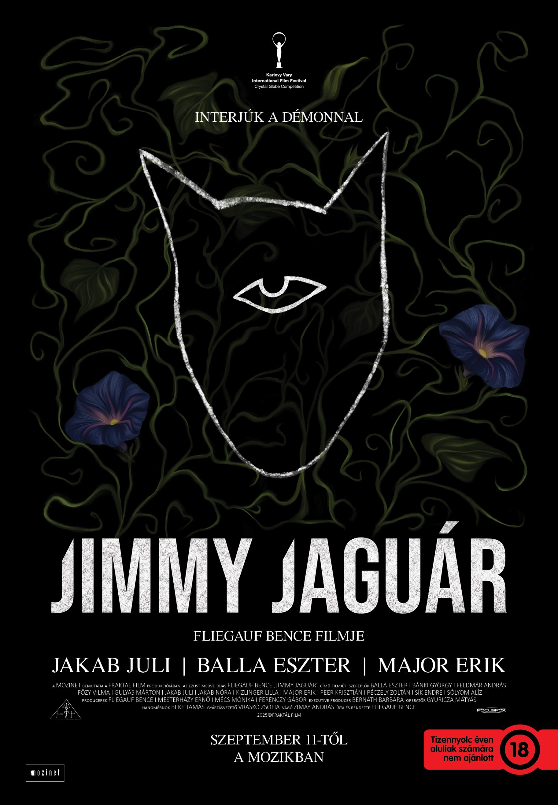 A Jimmy Jaguár c. film plakátja