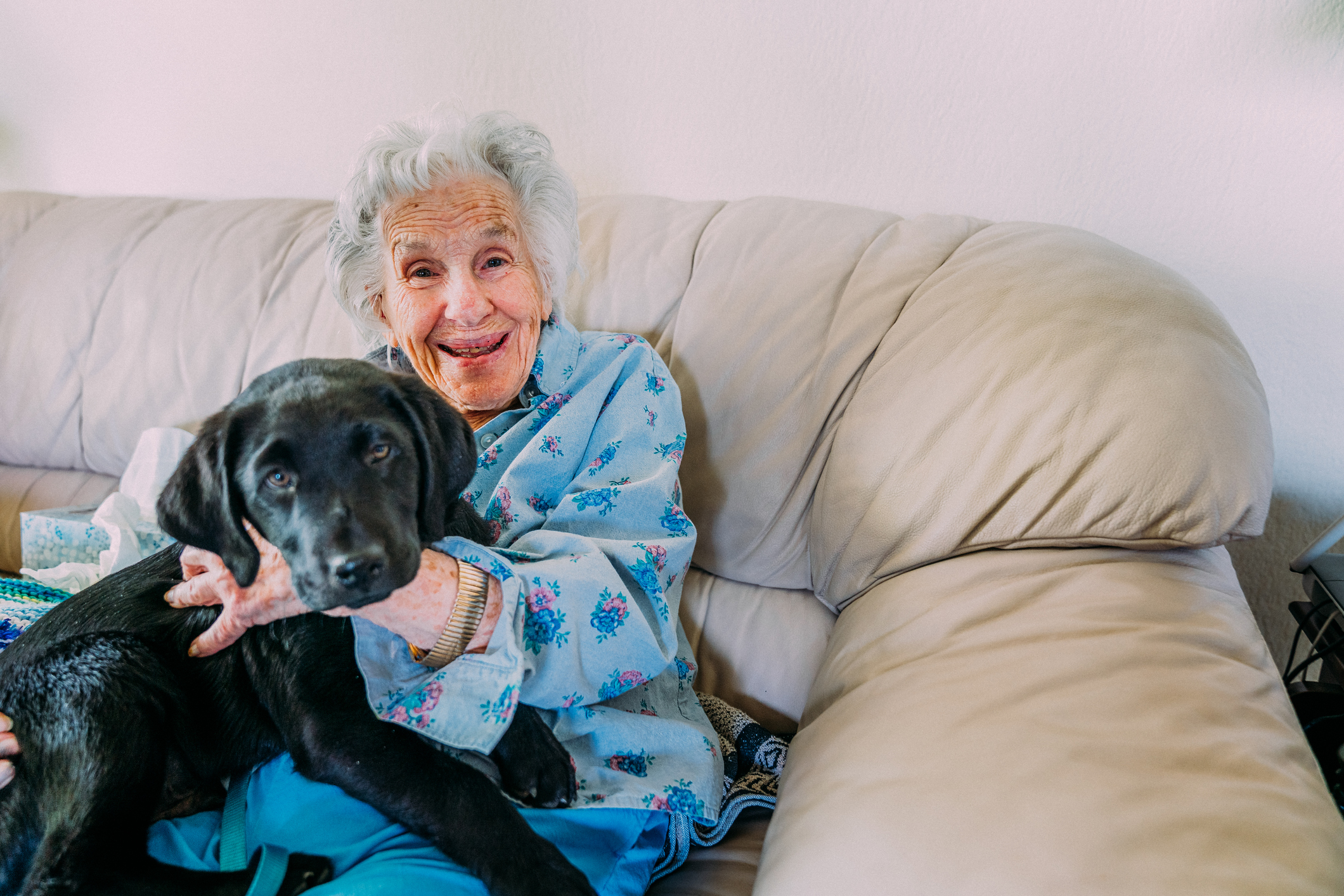 Idős nő kutyával az ölében