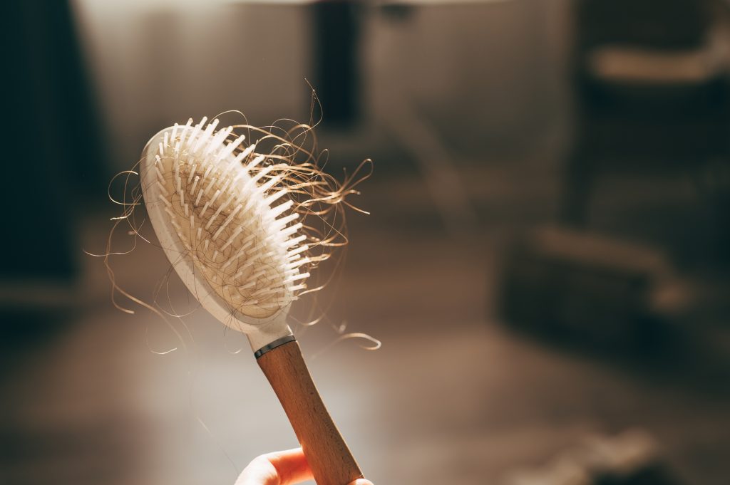 Hajszálak a hajkefében