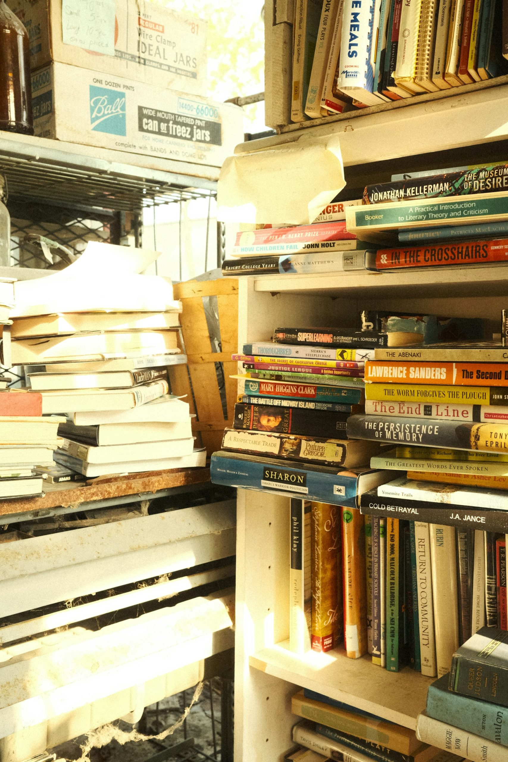 Könvyekkel tömött polcok