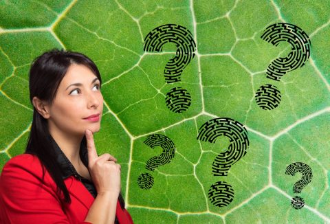 Barna hajú nő piros ruhában az ujjával megérinti az állát és gondolkodik, zöld levél közeli felvétel háttérben, fekete kérdőjelek