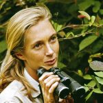 Jane Goodall 1965-ben