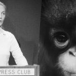 Jane Goodall 1985-ben