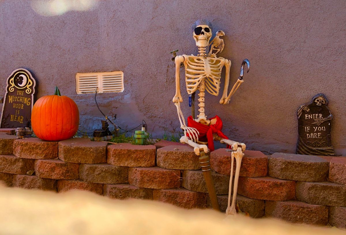 Csontvázkalóz kerítsére ültetve halloween dekorációnak