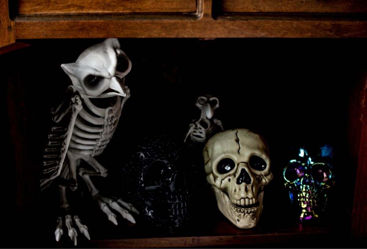 Csontváz bagoly és koponya halloween dekoráció