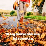 Levélfújóval gyűjti össze a színes őszi faleveleket egy férfi az úton